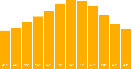 Avignon temperature graph
