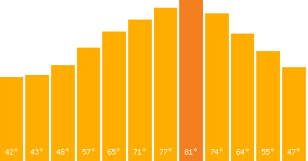 Tokyo temperature graph