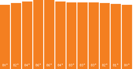 Ho Chi Minh City temperature graph
