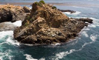 La Bufadora & City Tour