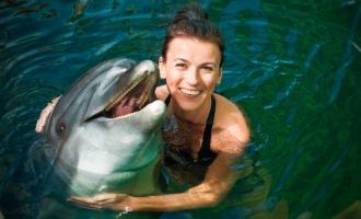 Dolphin Close Encounter