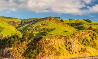 Bays, Beaches and Views of Dunedin