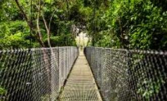 Puntarenas Area Highlights