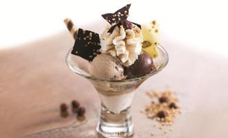 Amarillo Ice Cream Shop