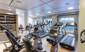 Wellness Wellness