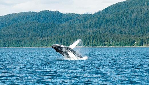Alaska
