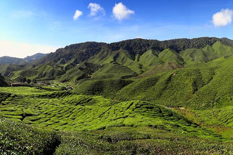 CAMERON HIGHLANDS DISTRICT