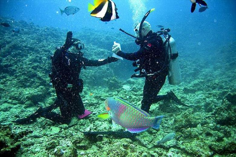 Snorkling in Mexico