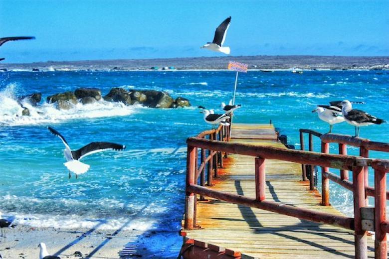 La Serena, Chile (Punta Churos)