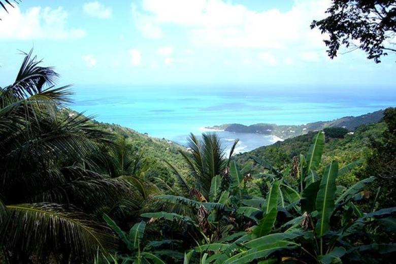 Tortola
