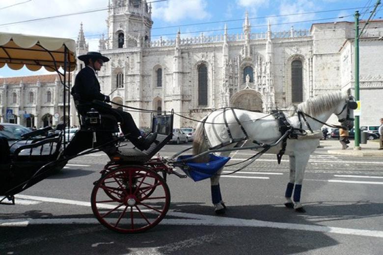 LISBON HORSE