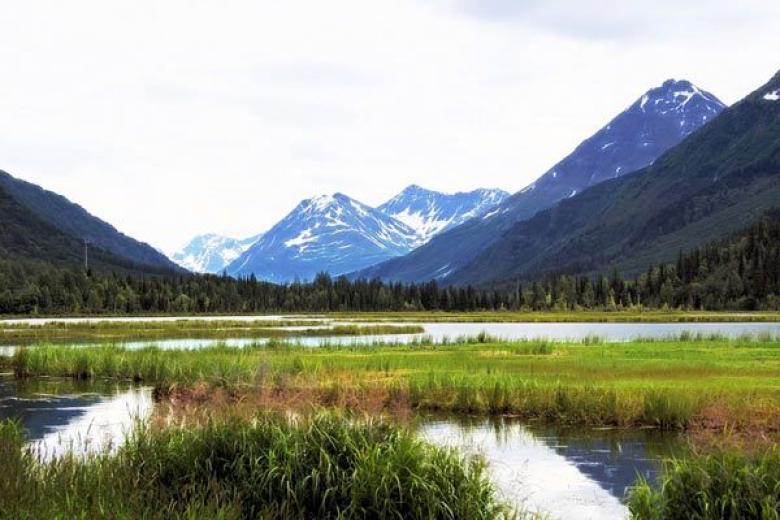 Seward Landscape
