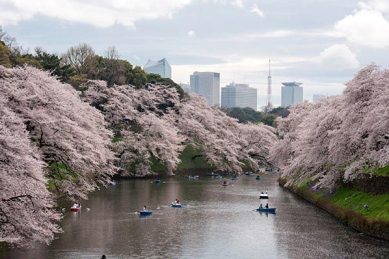 Tokyo Chidorigafuchi