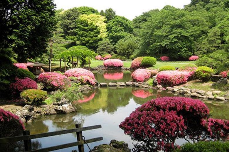 Tokyo Shinjuku Gyoen