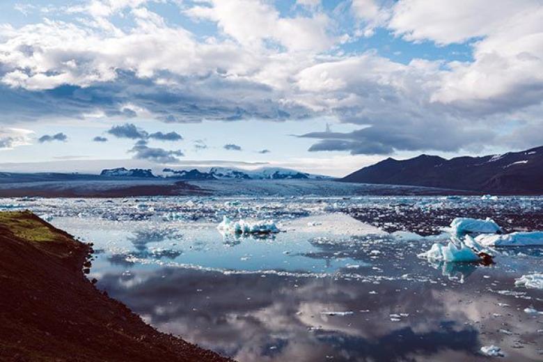 Arctic Sea