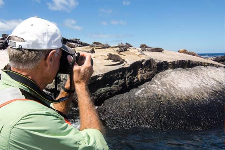 Iguanas in Galapagos