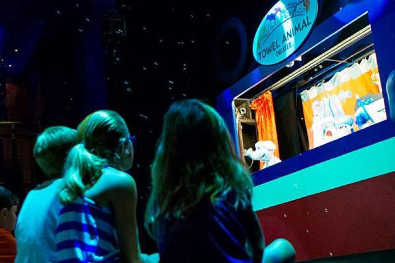 Towel Animal Theater